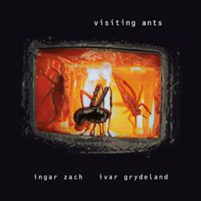 Visiting Ants front cover